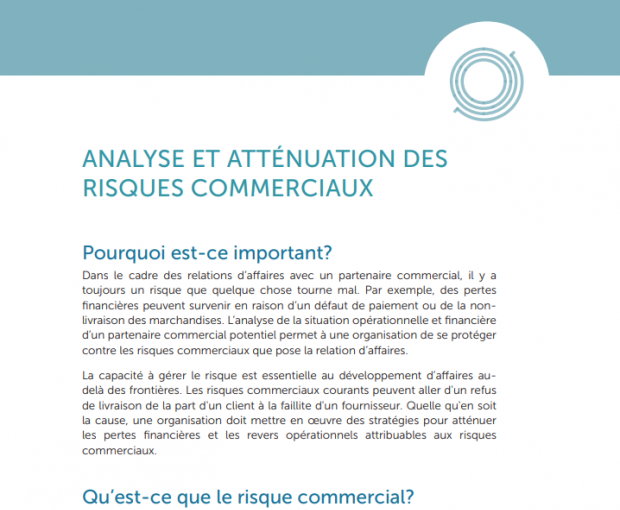 Analyse et atténuation des risques commerciaux capture d'écran du téléchargement du PDF