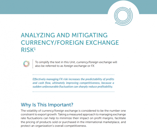 Analyzing and Mitigating Currency/Foreign Exchange Risk PDF download screenshot
