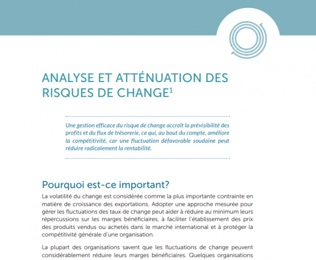 Analyse et atténuation des risques de change capture d'écran du téléchargement du PDF
