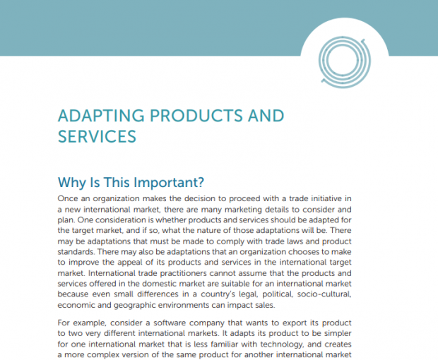 Adapting Products and Services PDF download screenshot