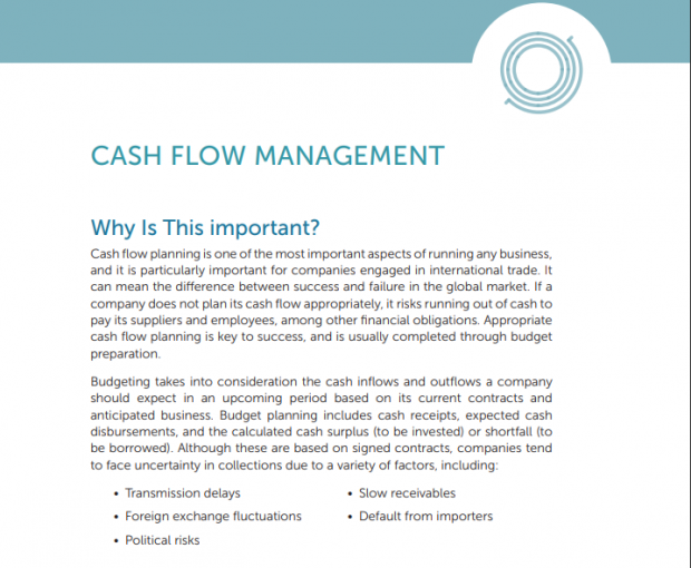 Cash Flow Management PDF download screenshot