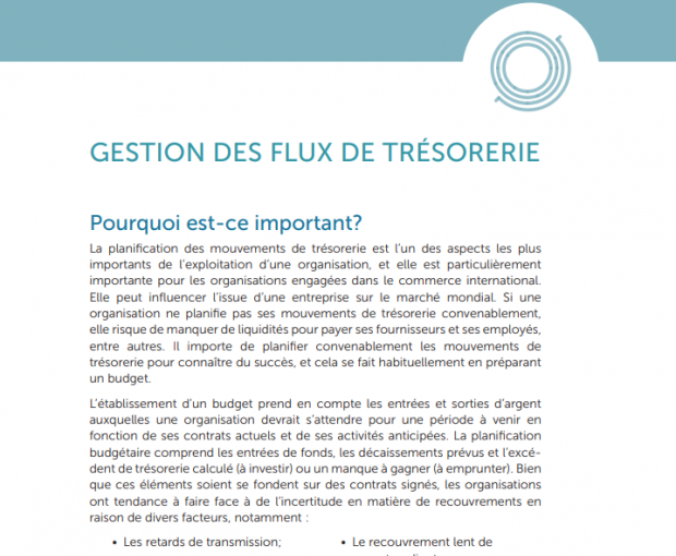Gestion des flux de trésorerie capture d'écran du téléchargement du PDF