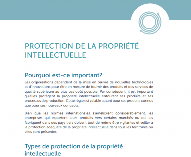 Protection de la propriété intellectuelle capture d'écran du téléchargement du PDF