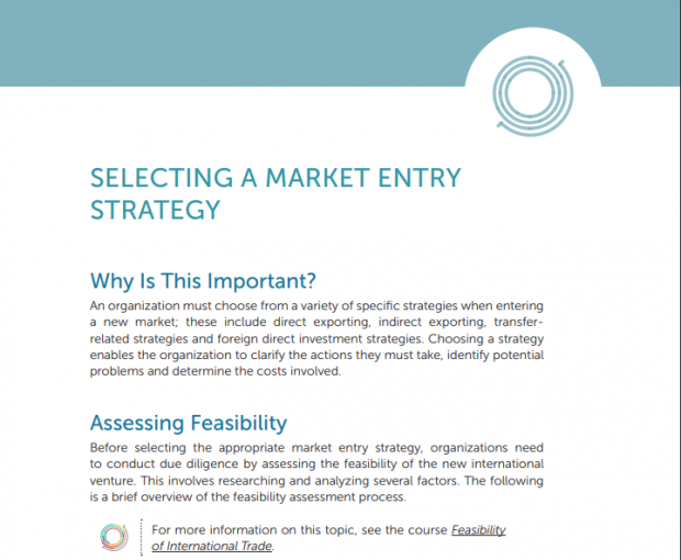 Selecting a Market Entry Strategy PDF download screenshot