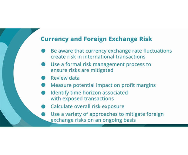 Analyzing and Mitigating Currency/Foreign Exchange Risk video screenshot