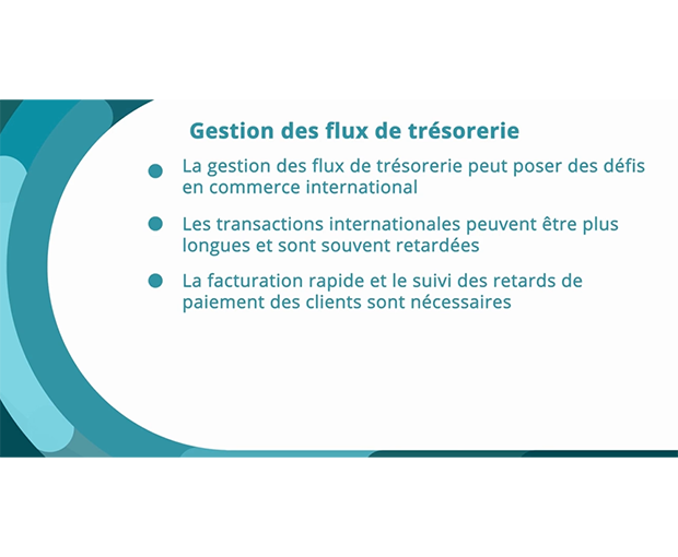 Gestion des flux de trésorerie capture d'écran vidéo